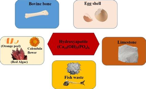  Hydroxyapatiitti: Luonnosta Inspiraatiota Saatavia Biomateriaaleja!